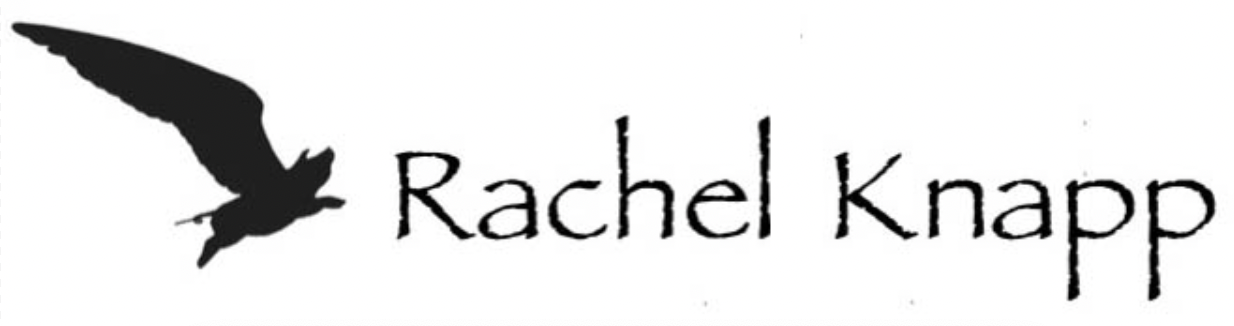 Rachel Knapp